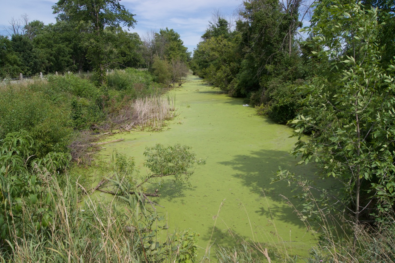 A feeder canal supplied water to the Welland Canal system.